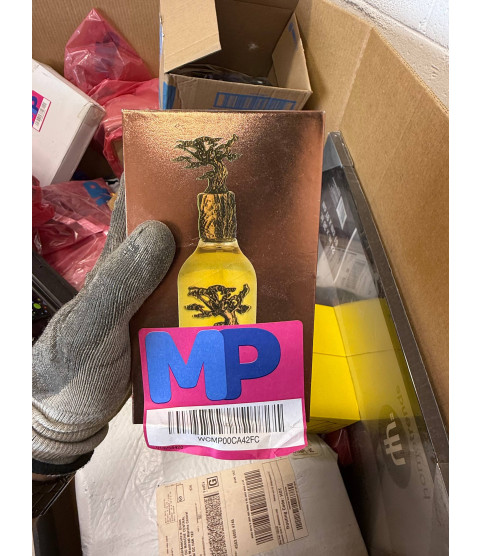 1 Pallet - Wholesale Walmart Liquidation – General merchandise, Electronics  Clothes, Shoes etc - Condition: Customer returns – Unsorted