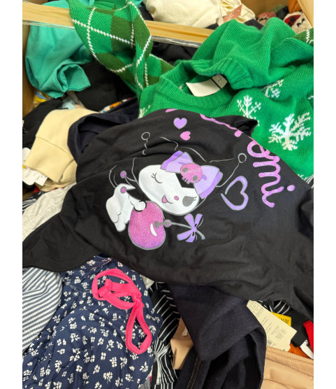 1 Pallet - Wholesale Walmart Liquidation - Clothes & Accessories - Condition: Customer returns – Unsorted